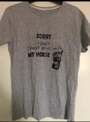 Grå T-shirt med tryck på bröstet  ”Sorry I can’t, I have plans with my horse”  Stl L men skulle säga mer som en M  Aldrig använd 