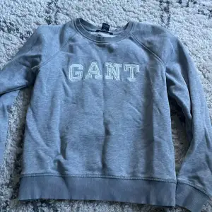 Grå sweatshirt från Gant 