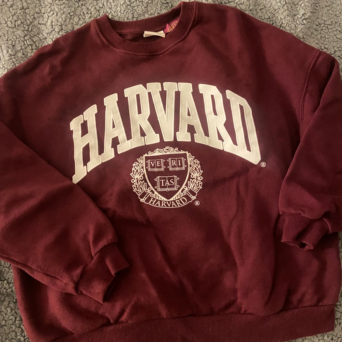 Harvard sweatshirt