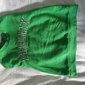 Långärmad oversized grön tröja i storlek medium. Det står med svarta bokstäver med vitt runt PHOENIX och nedanför står det med lite mindre svarta bokstäver ARIZONA. Den är ifrån Gina tricot. Använd några gånger. Den är lite nopprig. Säljs pga ej min stil.