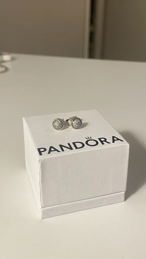 Pandora Örhängen Silver - Jättefina äkta silver örhängen från Pandora med kubisk zirkonia stenar på. Perfekt julklapp eller bas smycke, fint skicka och skickar gärna fler bilder. Finns inte längre kvar på hemsidan då de såldes för några år sedan. Låda medföljer 🤍