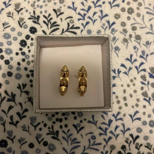 Edblad örhängen 🤗 - jättefina Edblad örhängen i färgen guld🤗 köpte nyss osv och har ej används på öron osv alltså helt nya, köpte på kryssningen så en box fick jag ej med så om jag skulle posta/mötas så kommer en annan fin silvrig box🤗💘