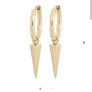 Örhängen  - Säljer dessa snygga örhängen för Edblad💕