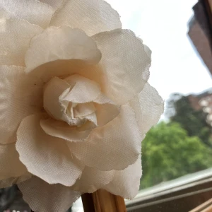 Rosen tofs  - Tofs med en stor vit ros på. Superfin nu till skolavslutningen och sommaren!