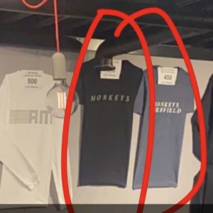 ARCTIC MONEKYS TRÖJA - den gråa längst ut! intressekoll, INTRESSEKOLL! köpt för 500 på arctic monkeys konserten i stockholm 31 april 2023! 