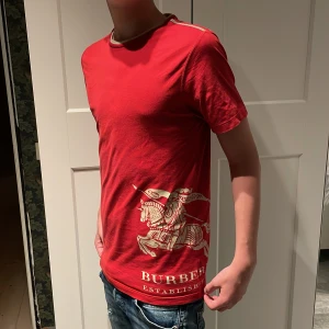 Burberry t-shirt  - Tjena! Säljer denna sällsynta vintage t-shirten från burberry strl 14-16 år så passar S.    Skick: 9/10 nypris: 4000kr (Modellen på bilden är 185cm lång och väger 64kg)