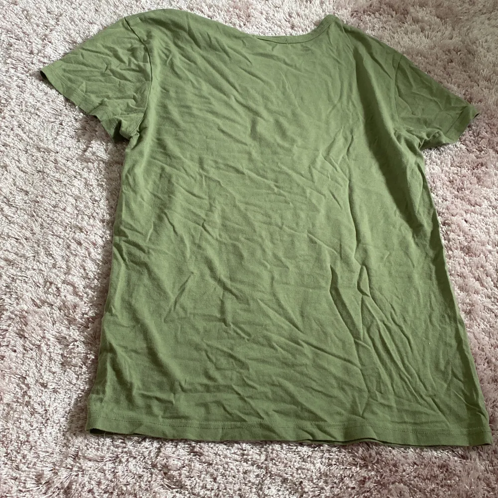 En grön dinosaurie t skirt köpt från shein i bra skick. Stolen S.. T-shirts.
