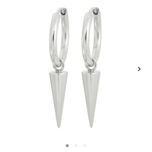 Edblad örhängen! - Säljer dessa trendiga örhängen från edblad! Har aldrig använts pga att jag fick de som present men inte riktigt är min stil💗