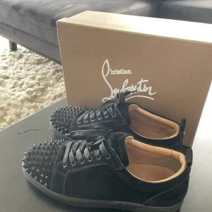 Christian Louboutins  - Used, but looks new. 
