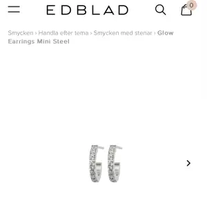 Supersöta örhängen från Edblad använt 1 gång, säljer pga har för många liknande💕💕nypris: 300kr