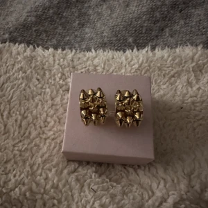 Edblad örhängen - Superfina örhängen från Edblad med nitar. Fint skick och sällan använda💕💕nypris runt 500