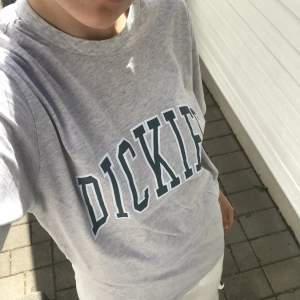 Grå t-shirt med tryck från dickies köpt på Carlings, herrstorlek M, nypris 500:-, aldrig använd 9/10.