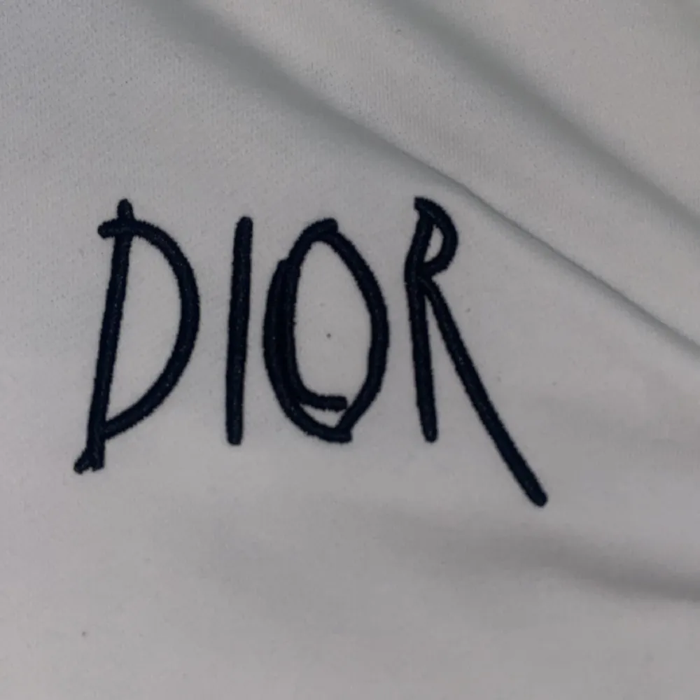 Fakead Hoodie från Dior  Säljs pga för liten och använder inte så ofta💞 Priset kan diskuteras!!💬💞 ⚠️OBS⚠️ Tröjan är lite tung.. Hoodies.