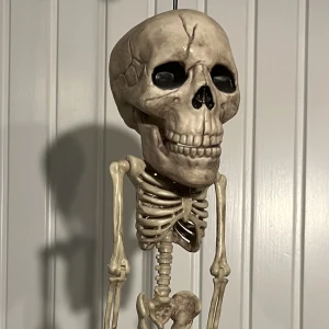 skelett dekoration - ett skelett som har en tråd så den går att hänga var man vill 🦴alla leder går att röra på, så skelettet kan även sitta ner! den är ungefär 35 cm lång
