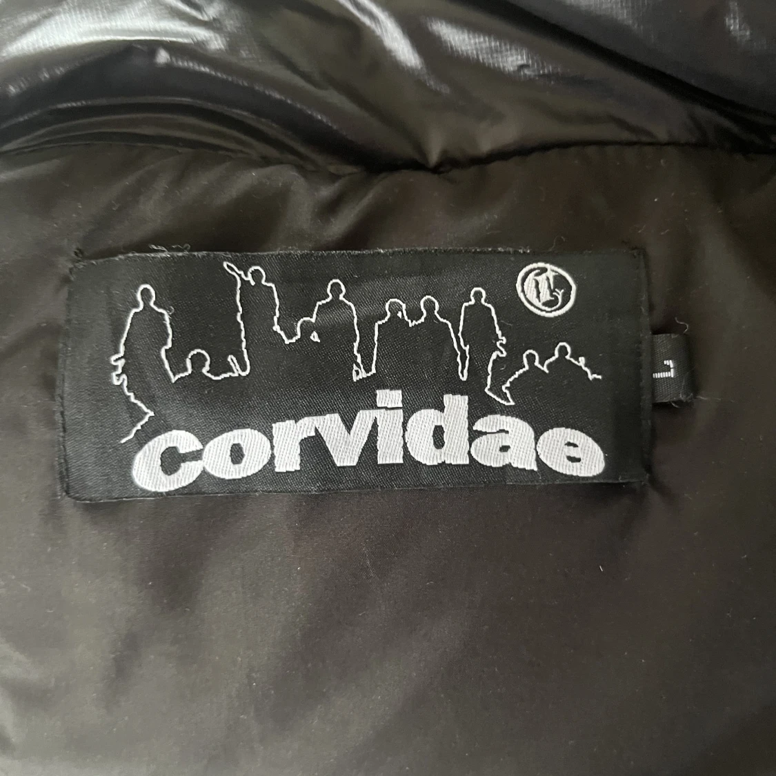 Corvidae jacka  - 90