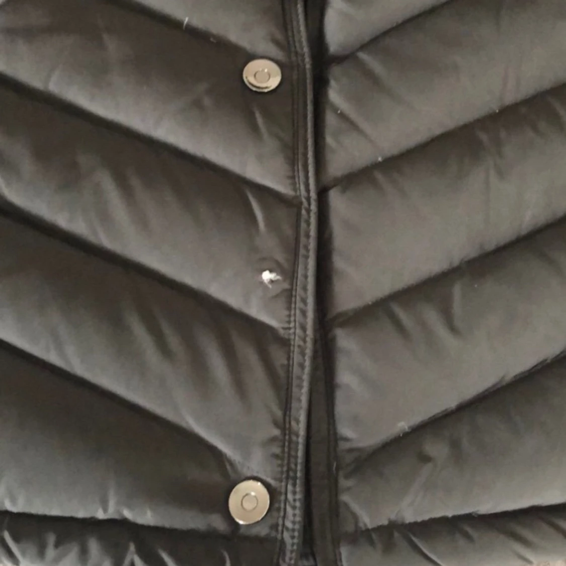 Hollies dunjacka - 91