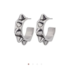 örhängen - från Edblad. säljer pga att jag har för många örhängen osv. nytt skick! Kartong medföljer!