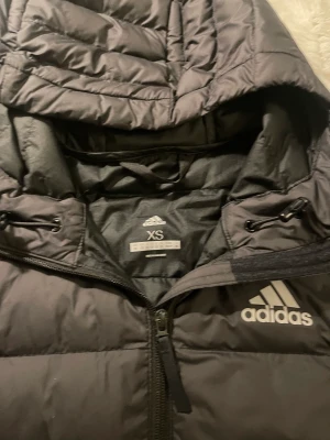 Vinter jacka  - Adidas jacka i bra skick, använd 3/4 gånger 