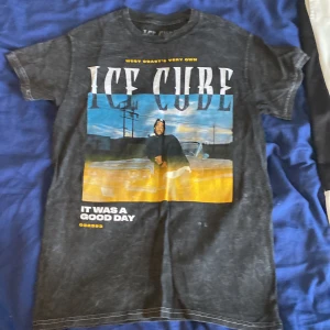 Ice cube T-shirt  - Brand new and in good condition