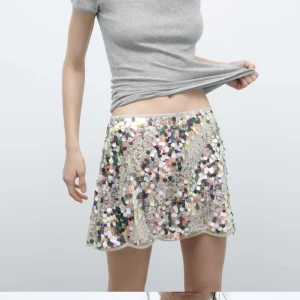 Paljettkjol från Zara  - Paljettkjol från Zara. Helt oanvänd med lappen kvar. Storlek S. Nypris 499. Säljer för 150kr. 