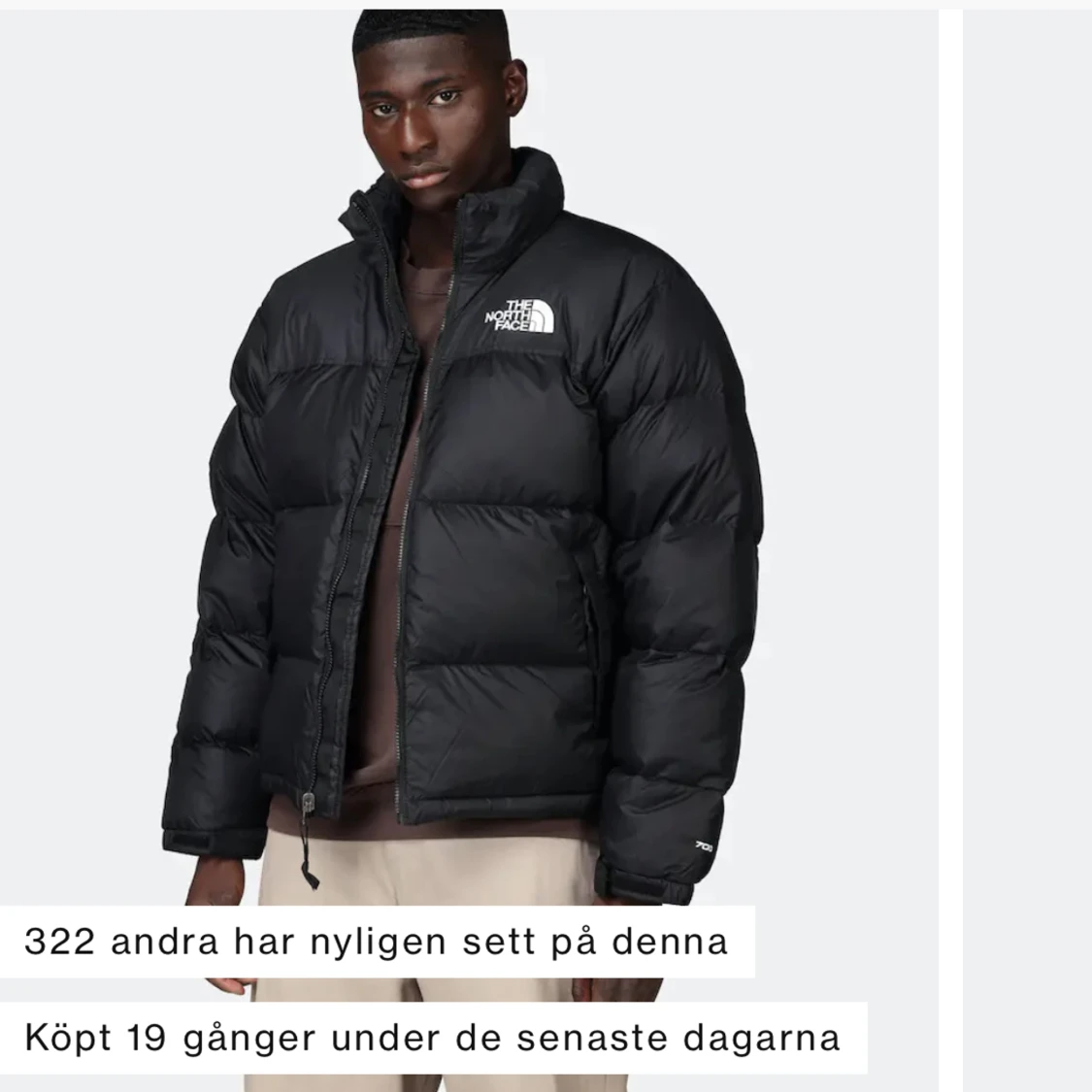 North Face 1996 retro nuptse dunjacka - 91
