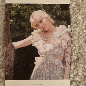 Momo - Jättefin Momo poster från more and more albumet. Lägg gärna prisförslag 