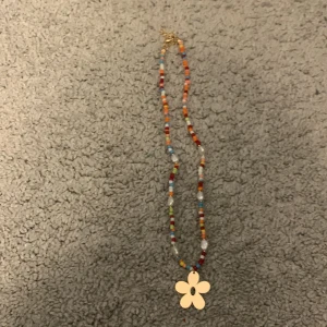 halsband  - ett halsband som inte har använts en enda gong 