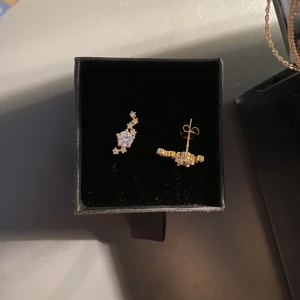 Sparv örhängen guldplätterade - Helt oanvända- säljer så jag har dubbla. Guldplätterade från Sparv. Nypris 499- säljer för 200