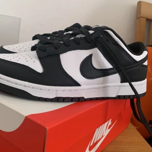 Dunks low  - Helt nya Oanvänd  
