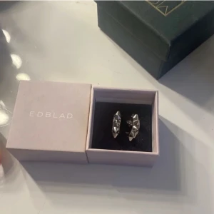 Edblad örhängen  - Säljer mina jätte fina Edblad örhängen då dom inte kommit till använding 