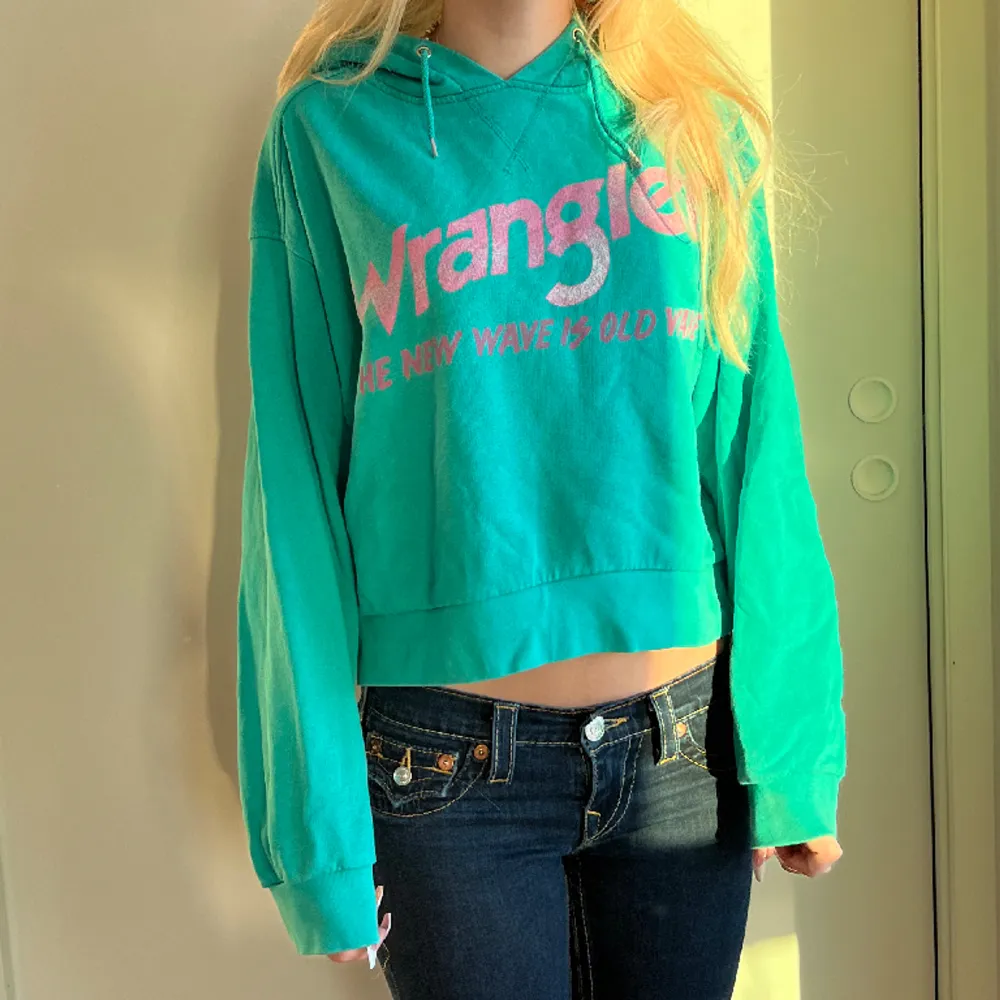 Söt hoddie från märket Wrangler 💓 Ganska kort i modellen (jag är 163cm) 💓 Använd men fint skick! 💓. Hoodies.