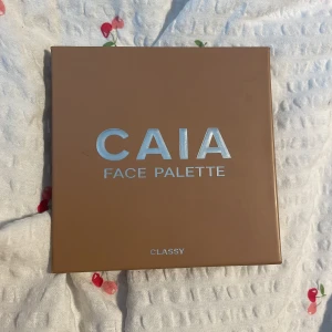 Caia classypalett - Caias classy palett! Inköpt förra sommaren och har endast använt contour färgen och blushen, bronzern och highlightern är oanvända. OBS har rengjort den därav det konstiga mönstret! Nypris 445 🫧