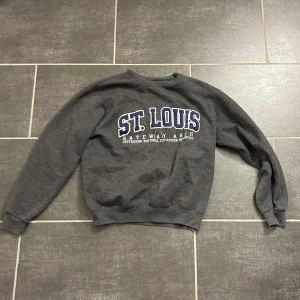 Champion sweatshirt  - Säljer denna tröjan pågrund av att jag inte använder den längre 