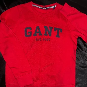Gant tröja  - Den är oanvänd 