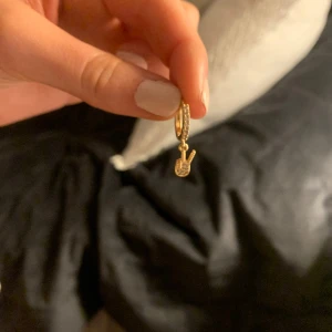 Coolt örhänge  - Gulligt örhänge, jättesnyggt 