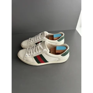 Gucci Ace sneakers  - Fina Gucci Ace skor i storlek 43  