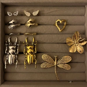 Ringar Skalbagge & Händer - 🤍