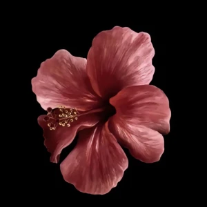 Kläder - Jag säljer en påse med MASSA kläder för 1500kr, skriv privat för bilder på alla kläder. Värdet på påsen är 5000💗💗💗