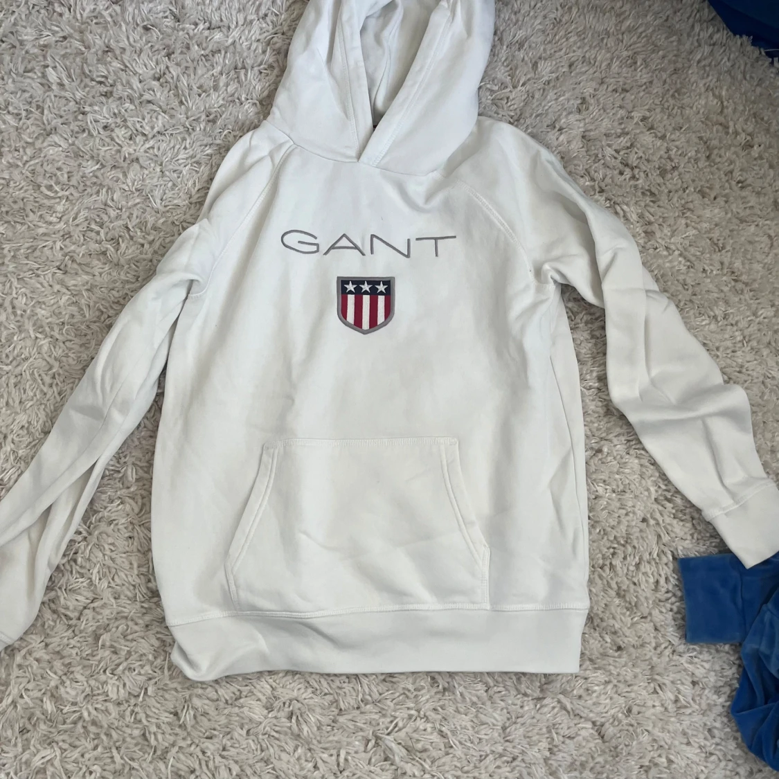 Gant hoodie