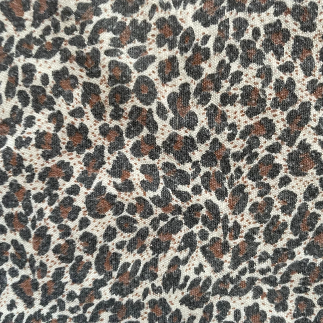 leopard linne - 91