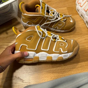 Nike skor  - Andvämda 4-5 gånger 