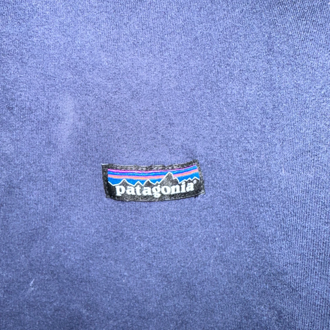 Patagonia Sweatshirt - 91