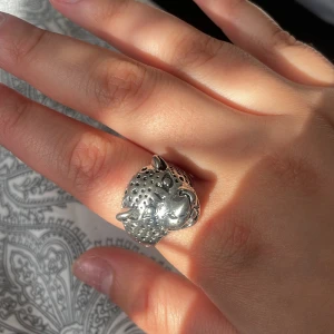 Silver Ring  - skit cool ring som jag köpte när jag var i Bolivia, kom inte till någon alls användning. Helt ny. Lägg gärna ett prisförslag! 