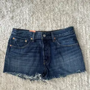 Helt nya levi’s shorts med etikett kvar. Storlek W30