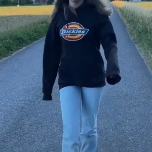 Dickies hoodie - Dickies hoodie i bra, använt skick. En extremt liten knappt synbar fläck finns, bra o nämna tänker jag:). Öppen för prisförslag/pruta! Fråga gärna om ni undrar något. 💓Vill bli av med - därav priset. 