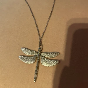 Trollslända halsband!! - Använt typ 1 gång! Jättesnyggt! Vet ej vilken metall etc, tror ej rostfritt iaf😢 Jättesnygg man kan byta kejda beroende på vilken längd man vill ha! Fick i present!