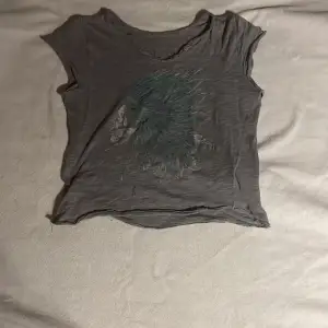 Snygg Zadig voltaire t-shirt, använd men det slitna är en del av tröjan. Passar nog någon som har xs❤️