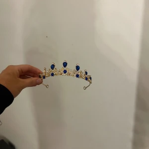 Diadem  - En tiara jag bar under halloween. Perfekt inför tema fester och högtider. 