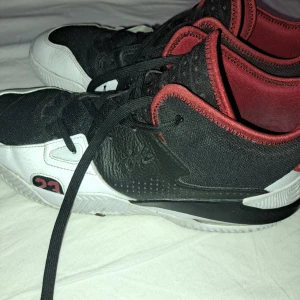 Jordan stay loyal 2 - Smått använda men i bra skick, storlek 47