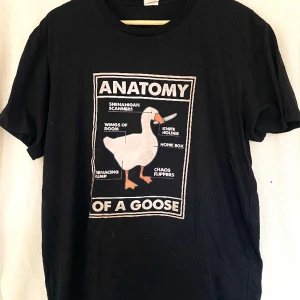 Tshirt - Söt tshirt med gås tryck. Super söt men använder den nästan aldrig. Använd ca 2-3 tvättar. Inga defekter. Storlek L